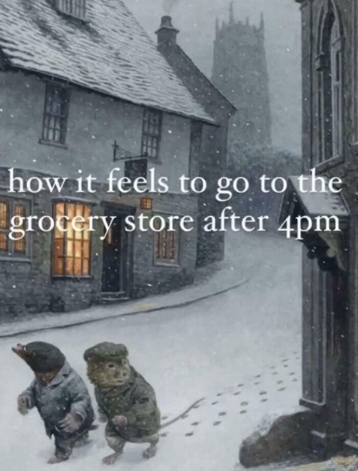 Relatable hilarious meme showing two animals walking in snow, capturing how it feels after going to the grocery store post 4pm.
