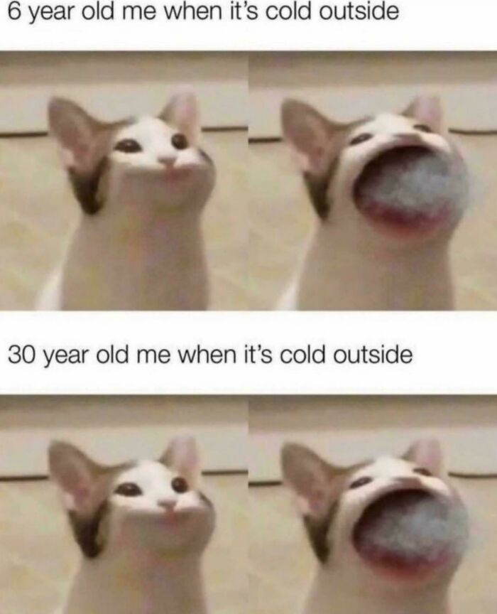 Funny relatable meme showing a cat pretending to breathe out cold air, illustrating humor in everyday life situations.