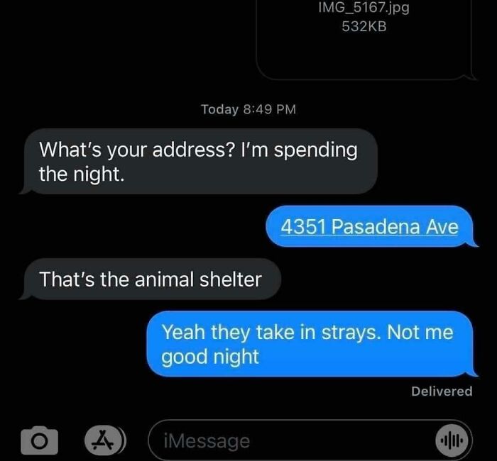 Screenshot of a funny text conversation showing a witty exchange involving animals and a shelter address.