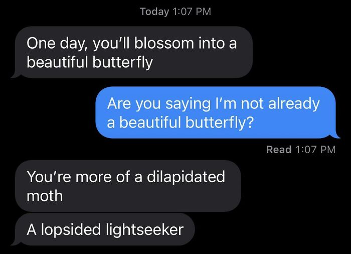 Screenshot of a hilarious text conversation playfully comparing a beautiful butterfly to a dilapidated moth and lopsided lightseeker.