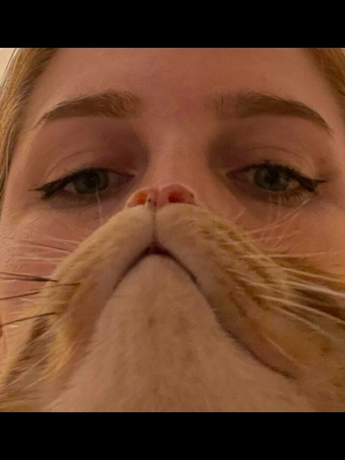 Close-up of an orange cat’s face with a person’s eyes visible behind, highlighting funny orange cats behavior.