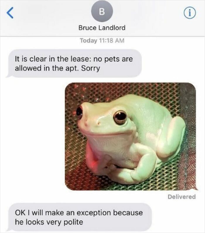 Text message exchange about no pets allowed, followed by a photo of a polite-looking frog, highlighting hilarious texts.
