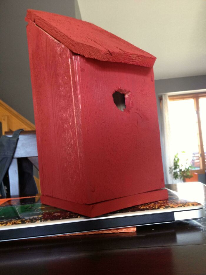 Red DIY birdhouse with uneven roof and poorly cut entrance hole, showcasing a clear example of a failed DIY project.