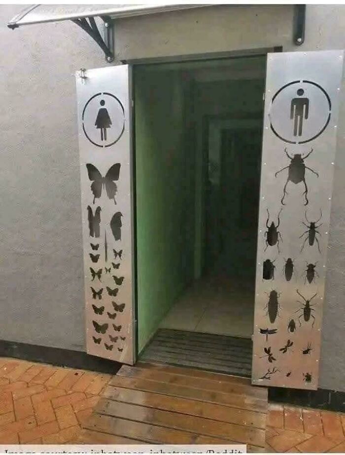 Men’s restroom marked with various insects and women’s restroom marked with different butterflies showing gendered nonsense signs.