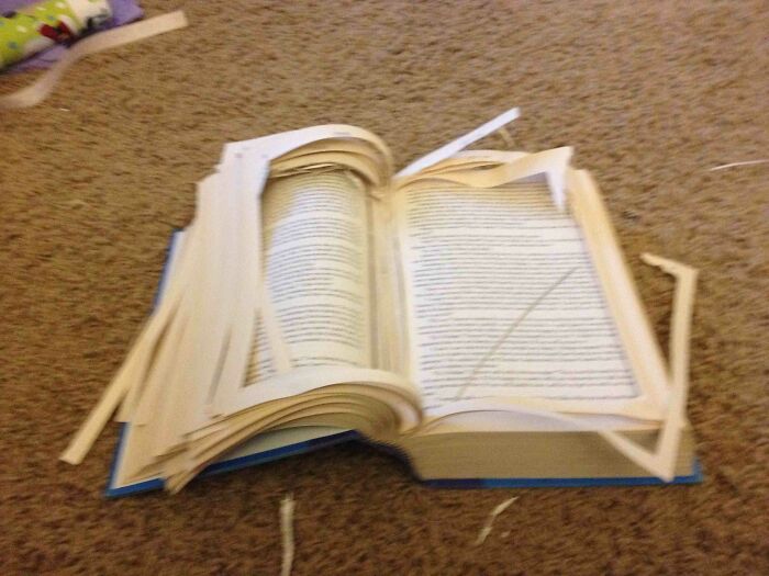 Opened book with torn pages scattered on carpet, showcasing a DIY fail in paper handling and damage.
