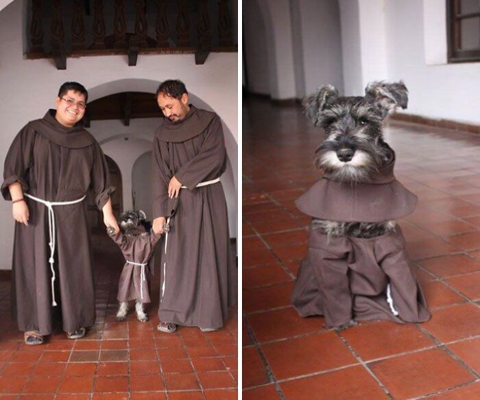 Funny and cute dog photos showing a small dog dressed as a monk with two men in brown robes indoors.