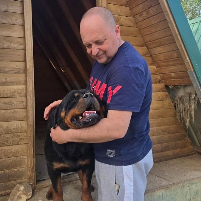 Man in a navy shirt caring for a large Rottweiler dog at Serbia’s largest abandoned and rescued animal shelter. Man in a navy shirt caring for a large Rottweiler dog at Serbia’s largest abandoned and rescued animal shelter.
