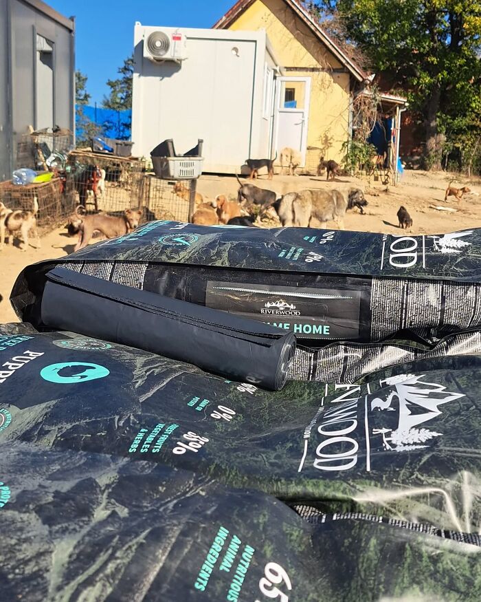 Bags of dog food in the foreground with numerous abandoned and rescued dogs roaming at Serbia’s largest animal shelter. Bags of dog food in the foreground with numerous abandoned and rescued dogs roaming at Serbia’s largest animal shelter.