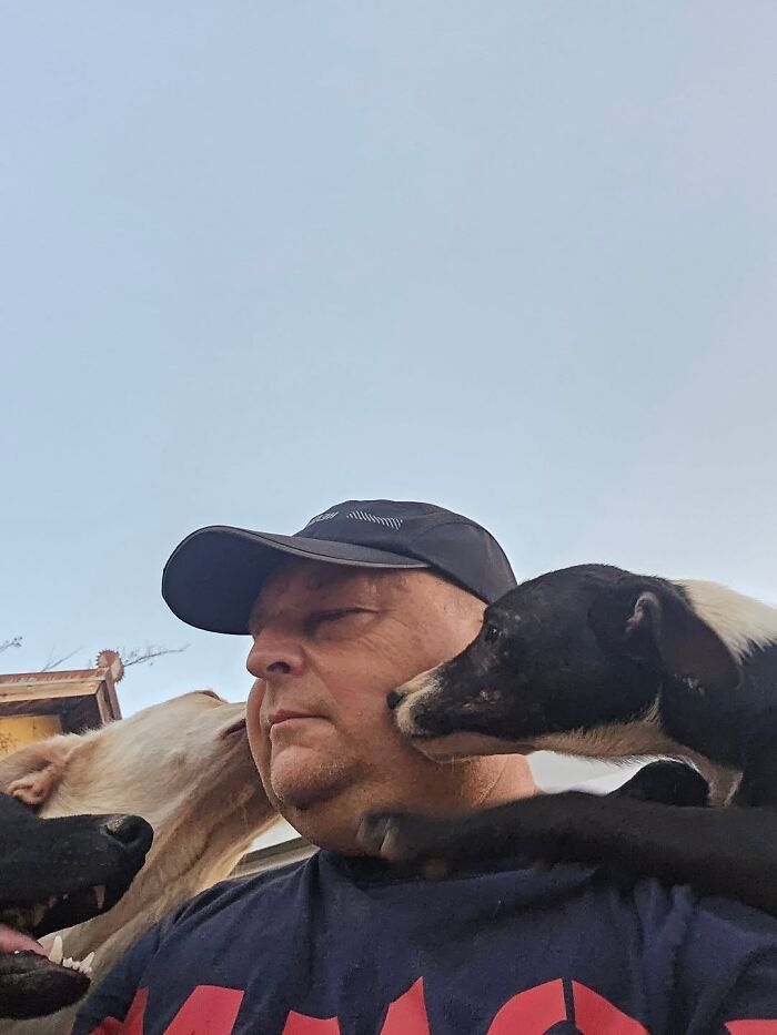 Man caring for abandoned and rescued dogs at Serbia’s largest animal shelter in an outdoor setting. Man caring for abandoned and rescued dogs at Serbia’s largest animal shelter in an outdoor setting.