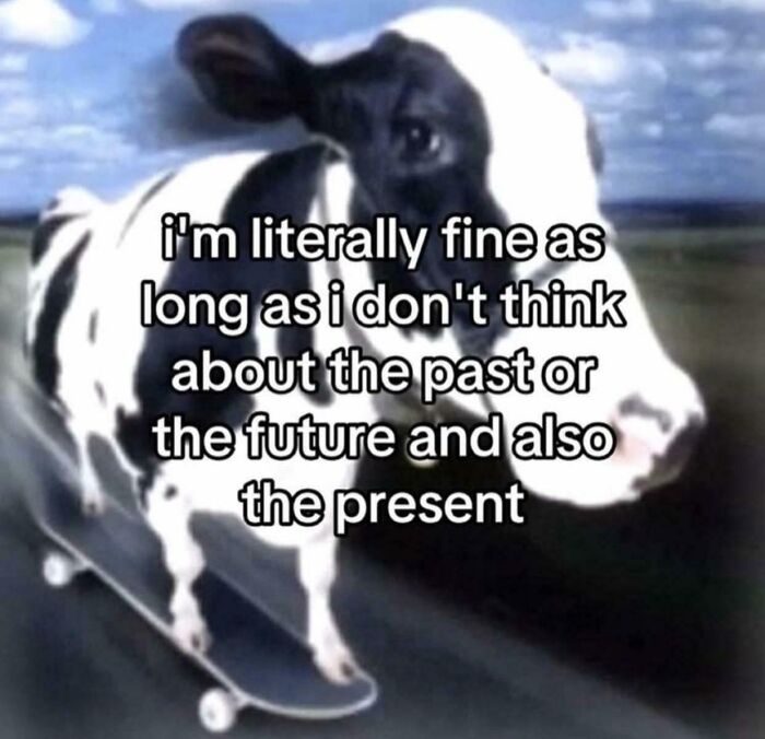 Cow on skateboard with text about being fine if not thinking about past, present, or future, a relatable hilarious meme.