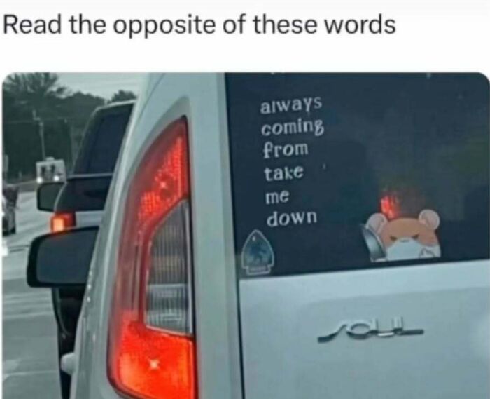 Car rear window with a meme sticker saying "always coming from take me down" and a toy bear, related to meme explanation.