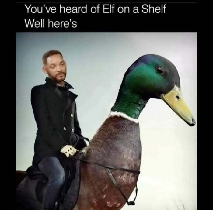 Man resembling Will Smith rides a large duck in a meme explaining popular meme account content.