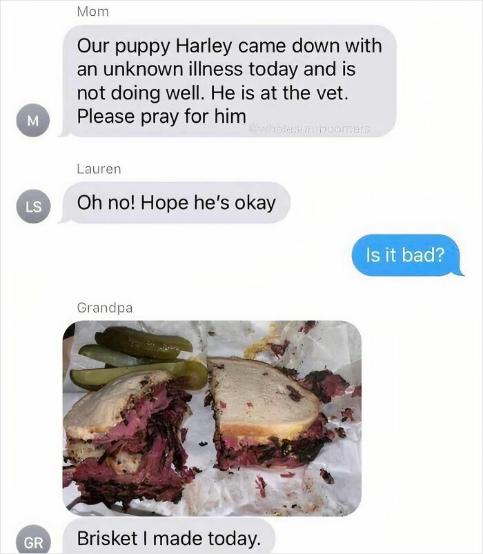 Text message thread showing a funny mix-up between serious news and a photo of a brisket sandwich, showcasing hilarious texts.