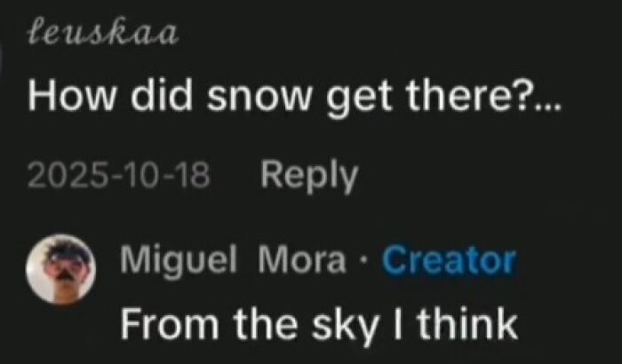 Weird and funny TikTok comments showing playful interactions about unexpected snow in a humorous conversation.