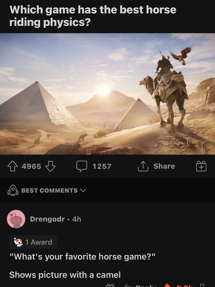 Screenshot of a social media post with one of the best comebacks involving a camel instead of a horse.