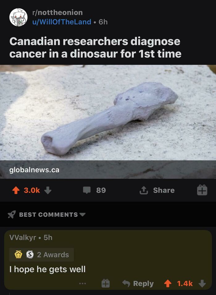 Screenshot of a social media post showing a dinosaur bone and a witty comeback, illustrating top social media comments and comebacks.