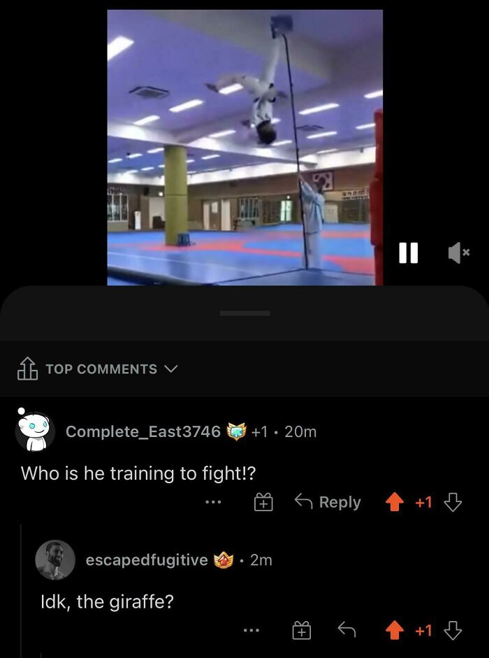 Martial artist performing mid-air flip in training video with witty social media comeback comments shown below.