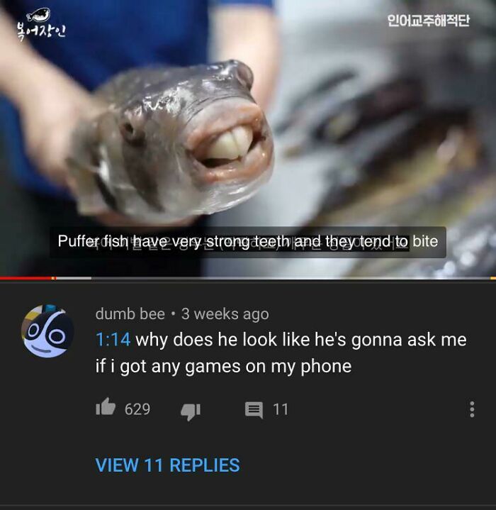Close-up of pufferfish showing strong teeth with a humorous social media comeback about asking for games on phone.