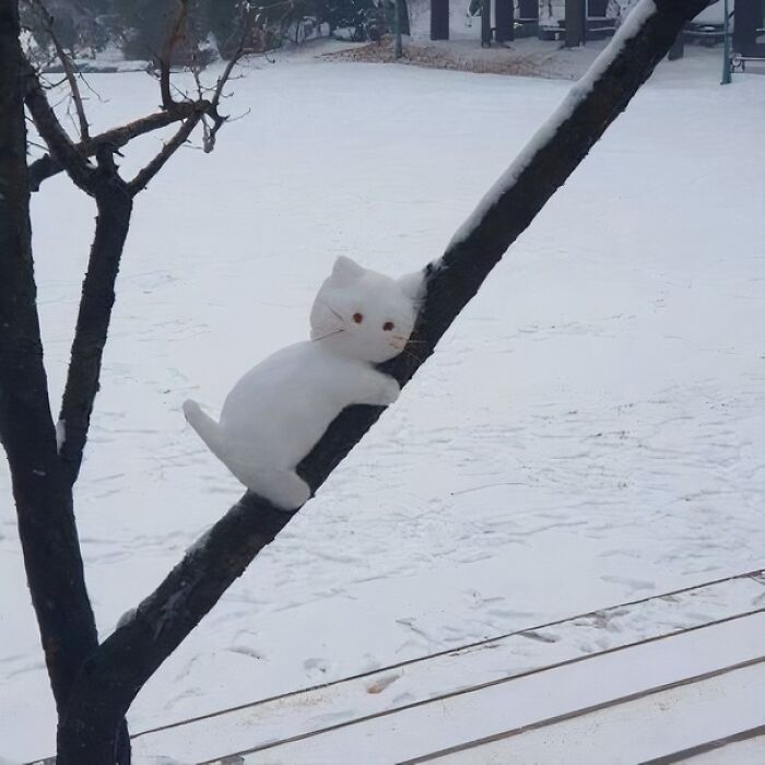 Snow-covered scene with a tree branch and a white cat-shaped snow sculpture climbing it, perfect cozy winter imagery.