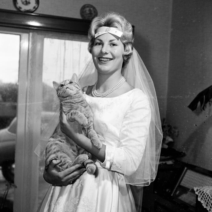 Bride in vintage wedding dress holding a tabby cat, showcasing timeless feline charm in a classic black and white photo.