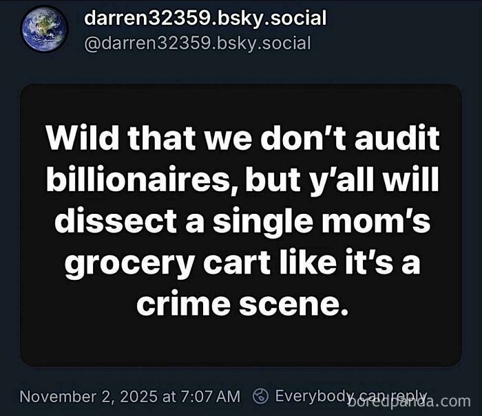 Post highlighting social observation on auditing and grocery carts, relevant to straight to the point posts calling out the world.