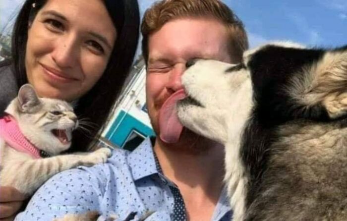 A man and woman sharing a joyful moment with their dog and cat, highlighting important animal images of human-animal bonds.
