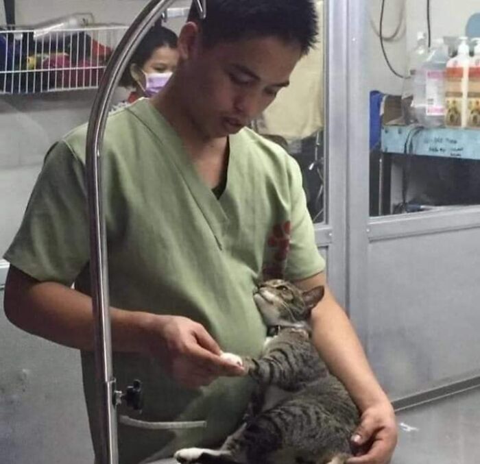 A man gently holding a cat's paw, showcasing a sweet human-animal bond in a veterinary setting.