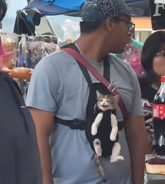 Man wearing a pet carrier with a relaxed cat inside, showcasing a sweet human-animal bond in a busy market setting.