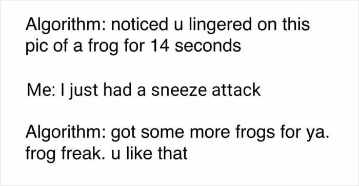 Text meme about an algorithm noticing a user lingered on a frog picture, shared in a funny memes collection.