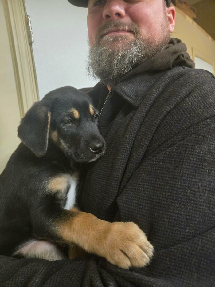 Man holding newly adopted puppy indoors, showcasing cozy winter beginnings and warmth of pet adoption.