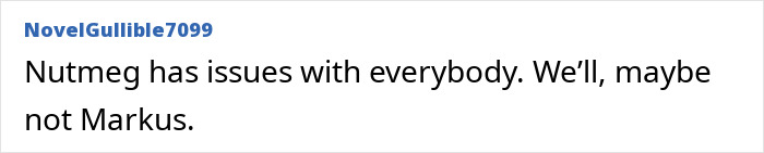 Text post from user NovelGullible7099 reading Nutmeg has issues with everybody. We’ll, maybe not Markus, referencing Meghan Markle’s alleged rift with mom Doria. Text post from user NovelGullible7099 reading Nutmeg has issues with everybody. We’ll, maybe not Markus, referencing Meghan Markle’s alleged rift with mom Doria.