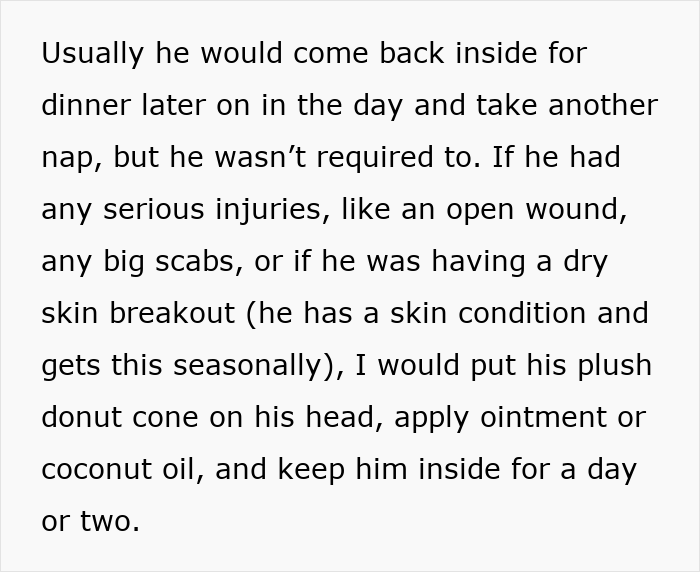 Cat disappears for days, neighbor secretly &lsquo;adopting&rsquo; him, showing care despite cat&rsquo;s skin condition and injuries.