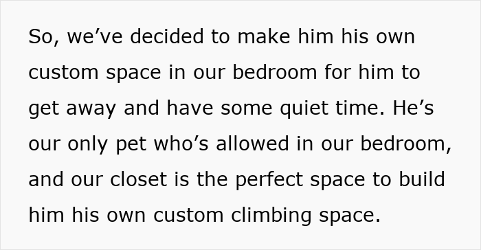 Alt text: Cat disappearing for days leads to discovery the neighbor has been adopting him secretly