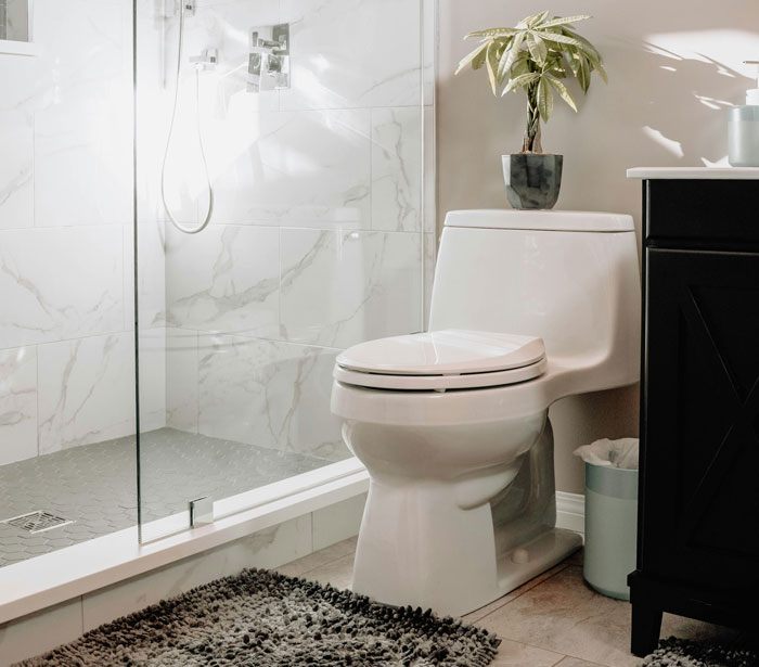 Modern bathroom with toilet, glass shower, potted plant and rug, people realized friends family weird