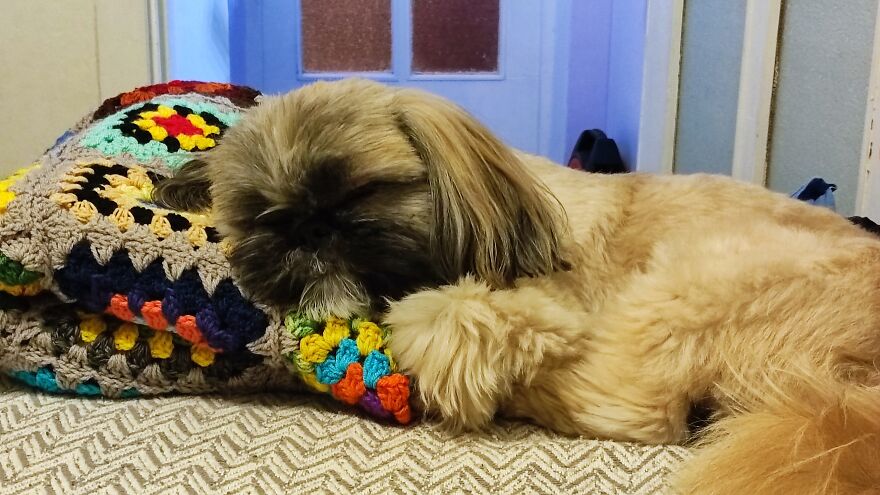 Violeta's Book Blanket, 96 Granny Squares Based On Book Covers