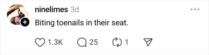 Screenshot of a social media comment describing a passenger biting their toenails on a flight, illustrating unhinged passenger behavior.