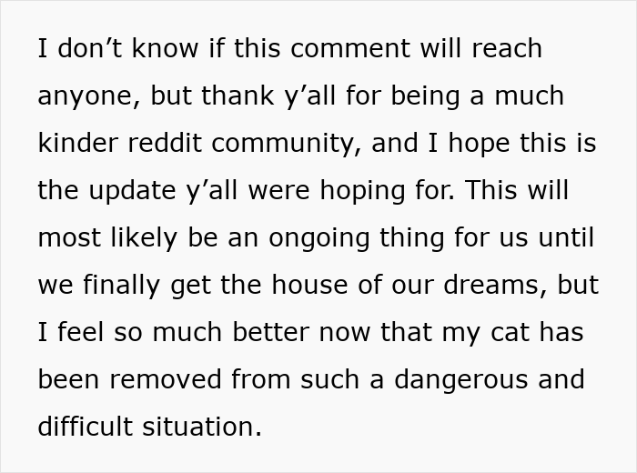 Text post discussing relief after cat was removed from a dangerous situation following neighbor&rsquo;s secret adopting actions.