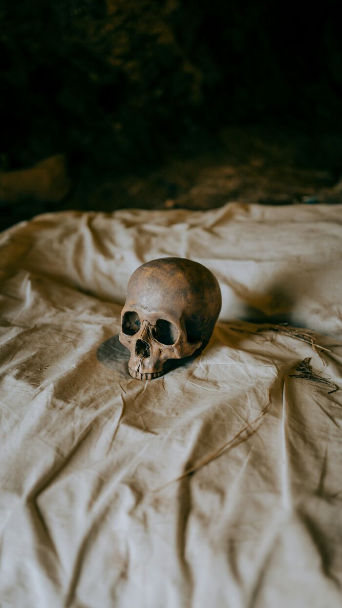 28 Hilarious Things Toddlers Said, As Shared By Our Community