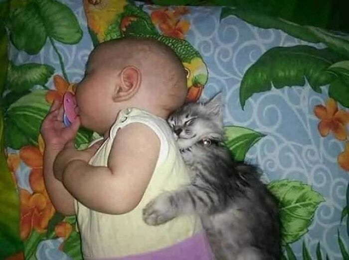 Baby sleeping peacefully hugging a gray kitten, showcasing sweetest human-animal bonds in a cozy setting.