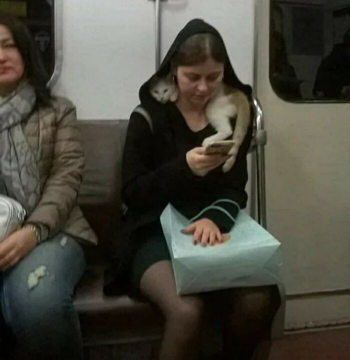 Woman on subway with a pet cat resting on her shoulder, capturing the sweetest human-animal bonds in an important animal image.