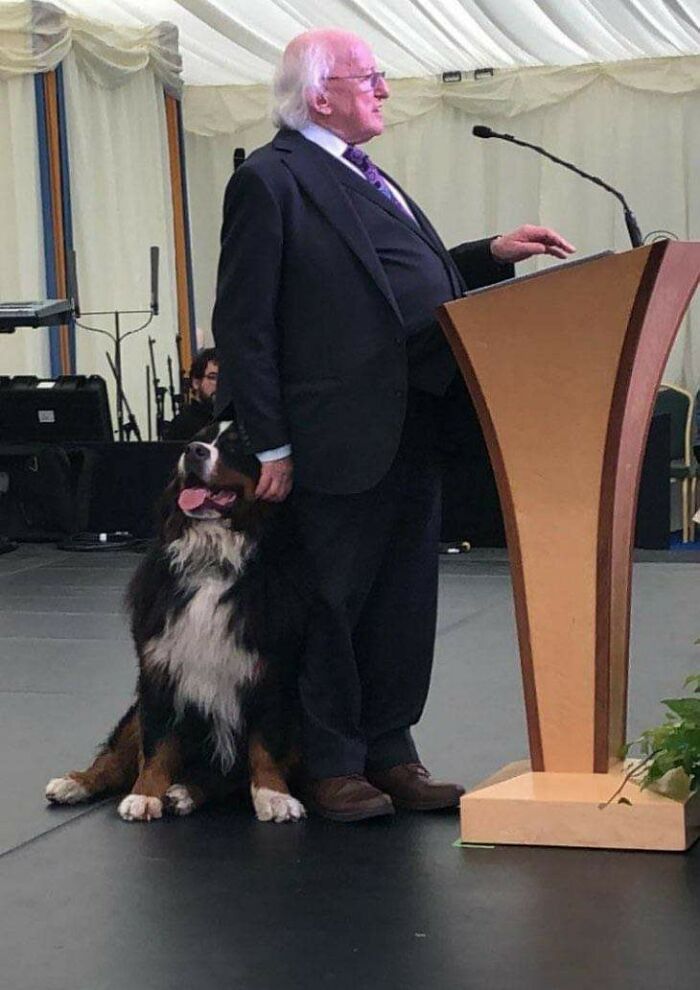 Elderly man standing at a podium with a large dog sitting beside him, showing sweet human-animal bond.