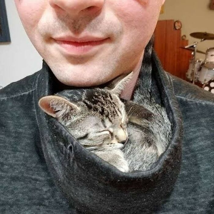 Man with a kitten sleeping snugly inside his hoodie, showcasing a sweet human-animal bond in an important animal image.