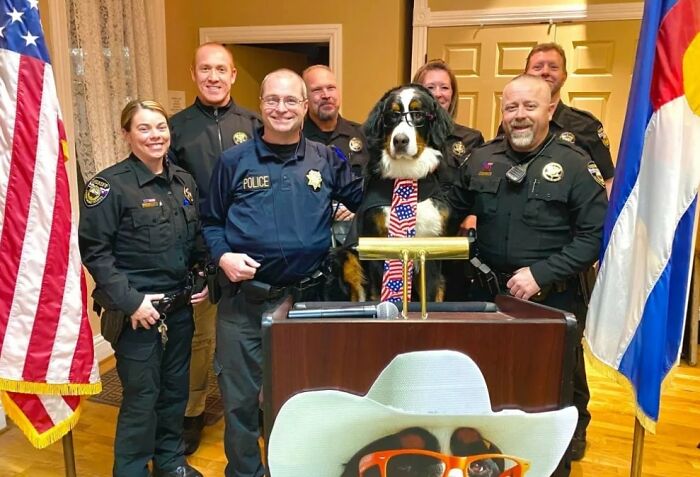 Police officers standing with a dog at a podium, showcasing important animal images capturing human-animal bonds.