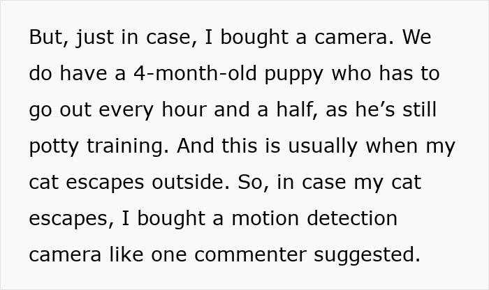 Person&rsquo;s cat disappearing for days, motion detection camera used to catch neighbor &lsquo;adopting&rsquo; the cat outdoors.