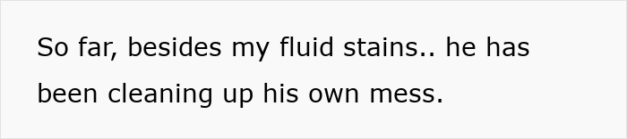 Text message about cleaning up stains and mess, highlighting a sister shaming her brother for leaving toilet seat stains.