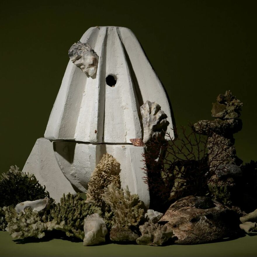 Abstract white structure inspired by nature surrounded by coral and organic shapes, showcasing biomimicry examples.