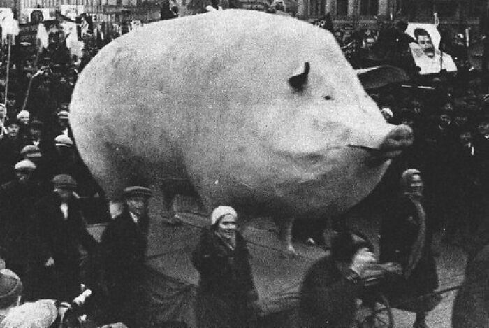 Giant oversized pig float in black and white vintage photo with crowd, showcasing odd and creepy old images.
