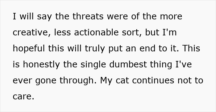 Text about a lost cat's journey from street survivor to family royalty amid a scammy owner demand years later. Text about a lost cat's journey from street survivor to family royalty amid a scammy owner demand years later.