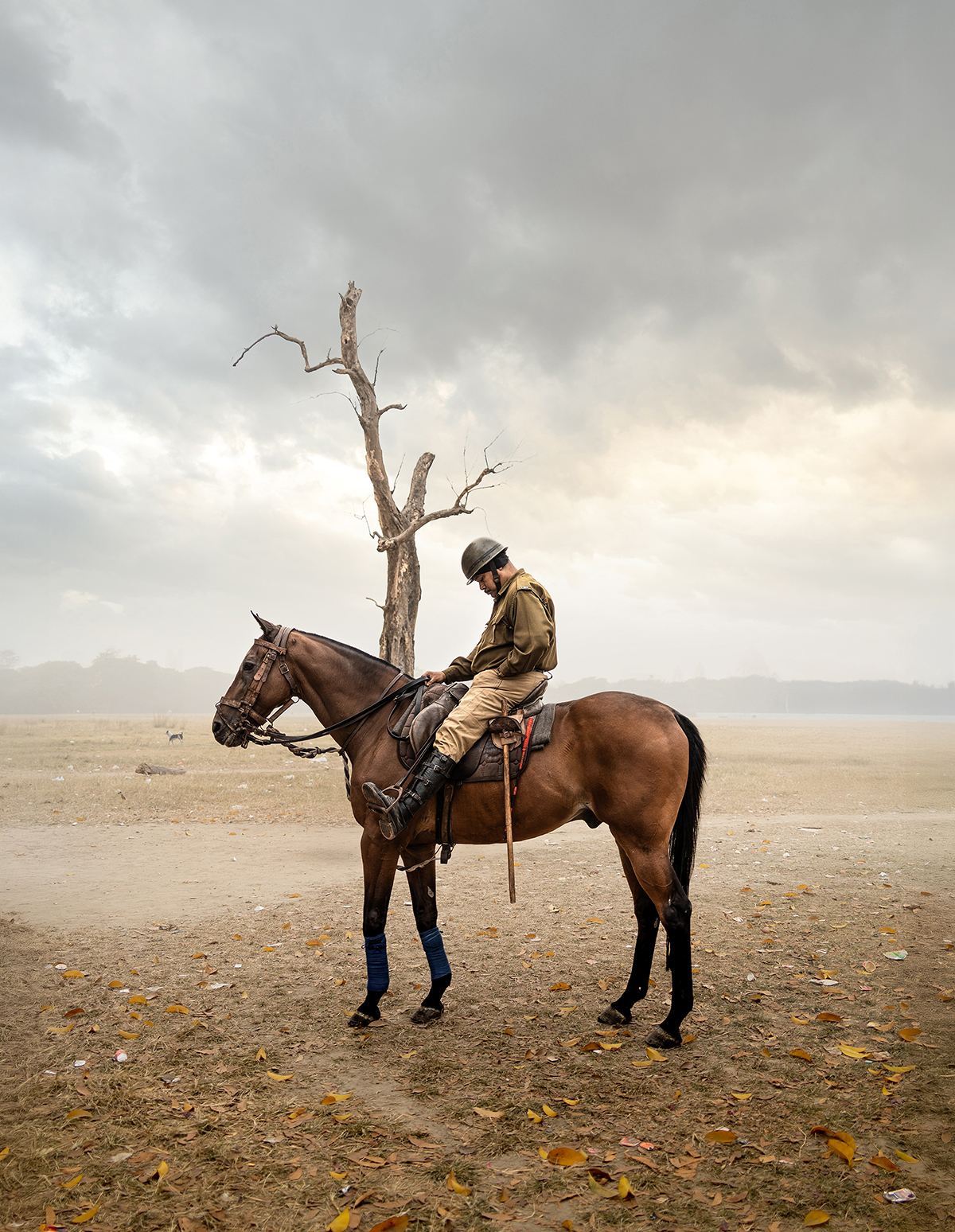 Aap Magazine #53: Travels — 25 Award-Winning Photo Stories From Around The World