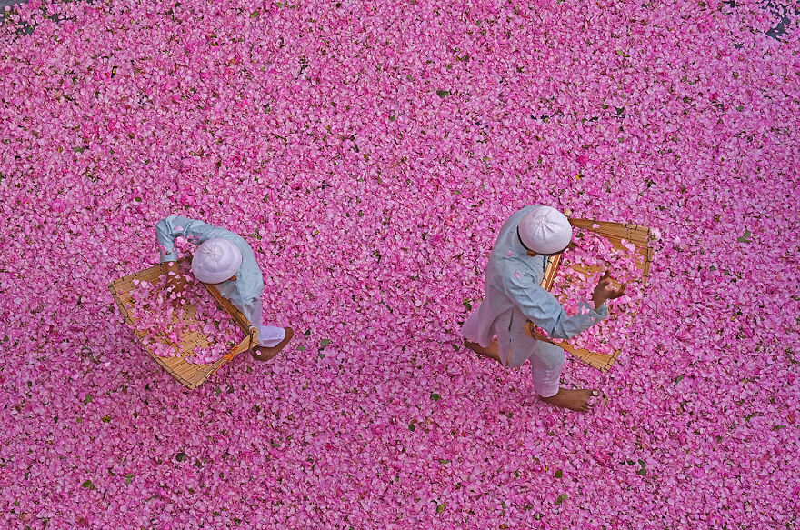 Aap Magazine #53: Travels &mdash; 25 Award-Winning Photo Stories From Around The World